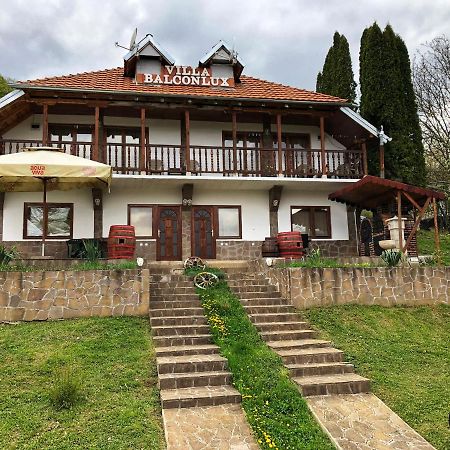 Villa Balconlux - Zavojsko Jezero, Pirot Exteriör bild