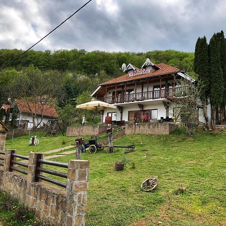 Villa Balconlux - Zavojsko Jezero, Pirot Exteriör bild