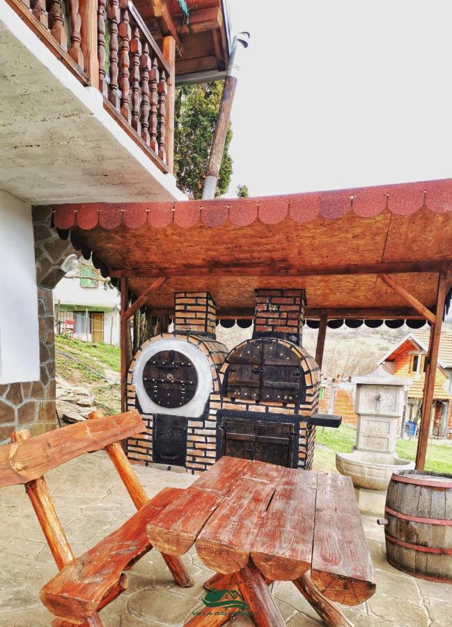 Villa Balconlux - Zavojsko Jezero, Pirot Exteriör bild