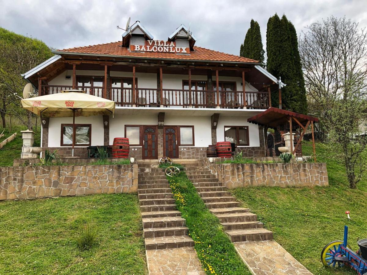 Villa Balconlux - Zavojsko Jezero, Pirot Exteriör bild